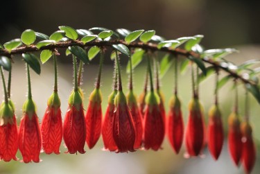 肇庆端州区私人快速借钱网，轻松解决资金难题