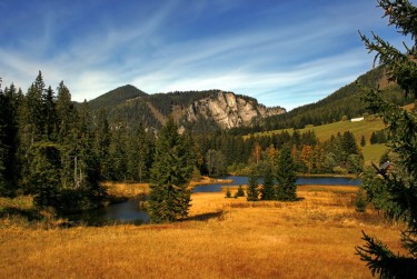 肇庆端州区民间私贷攻略：揭秘低成本借贷的秘密