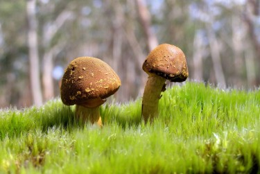 肇庆端州区私人老板放款：轻松融资的秘密通道